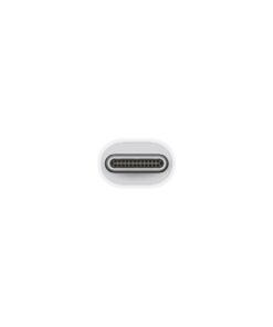 Apple Thunderbolt 3 (USB-C) - Thunderbolt 2